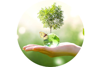 Logo Marie Maugey Naturopathe